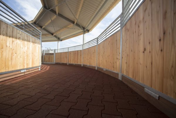 Adoquín ecuestre piso hule para caballeriza
