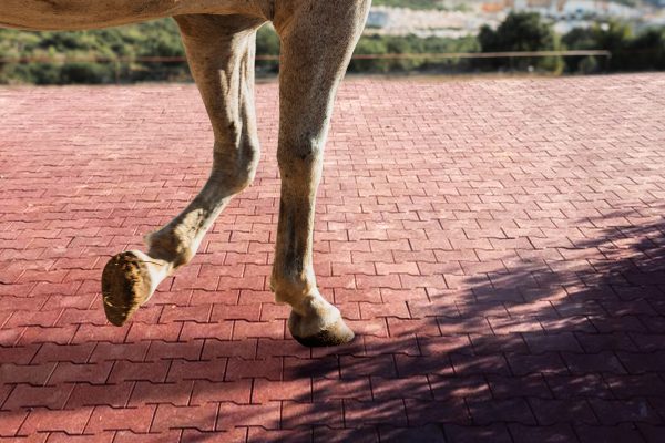 Adoquín ecuestre piso hule para caballeriza