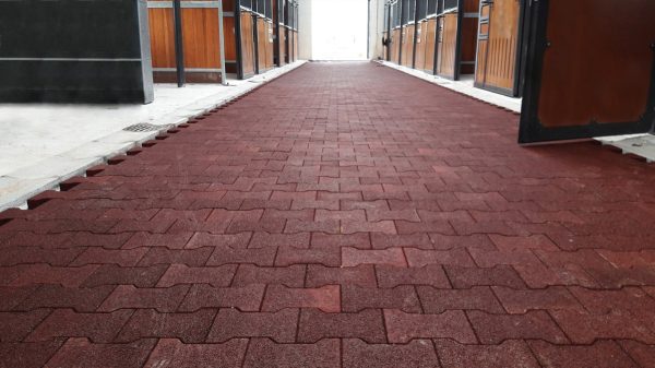 Adoquín ecuestre piso hule para caballeriza