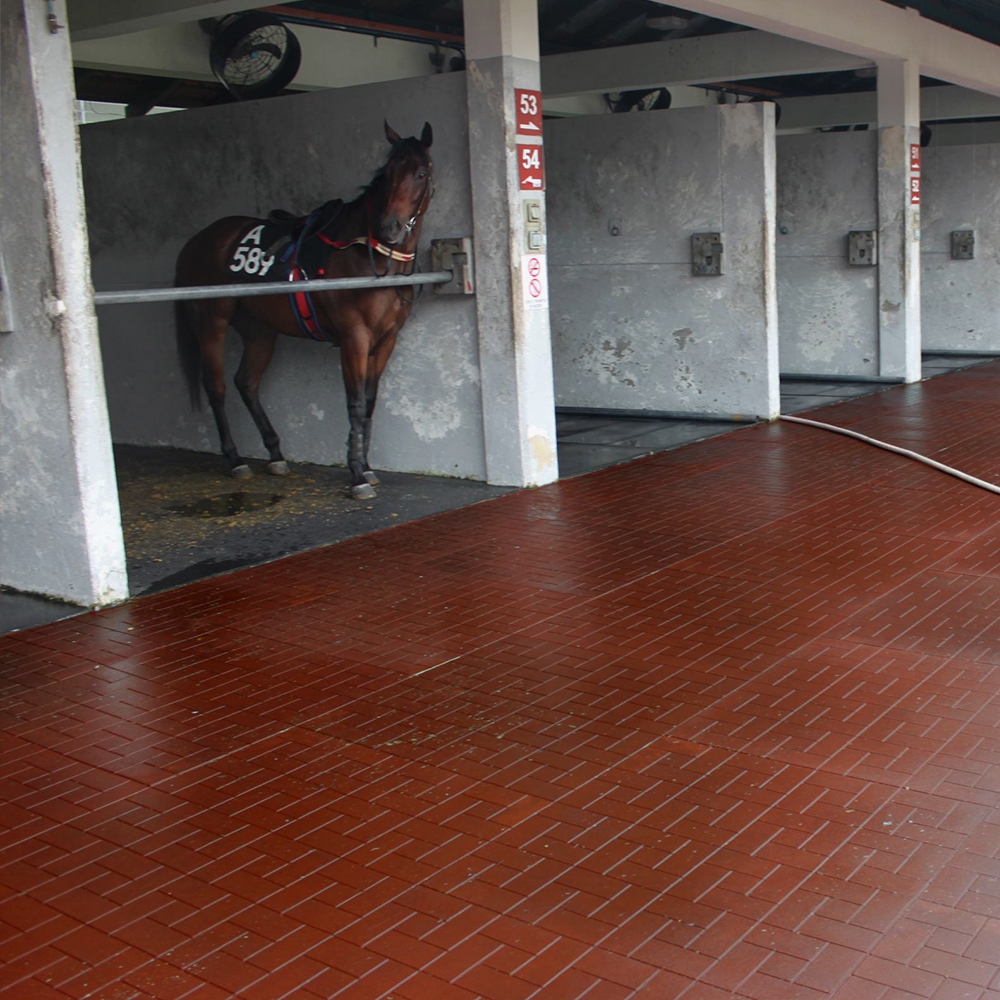 Loseta ecuestre terracota